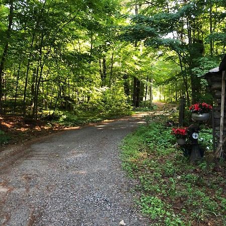 Country Living Bed & Breakfast Gravenhurst Eksteriør bilde