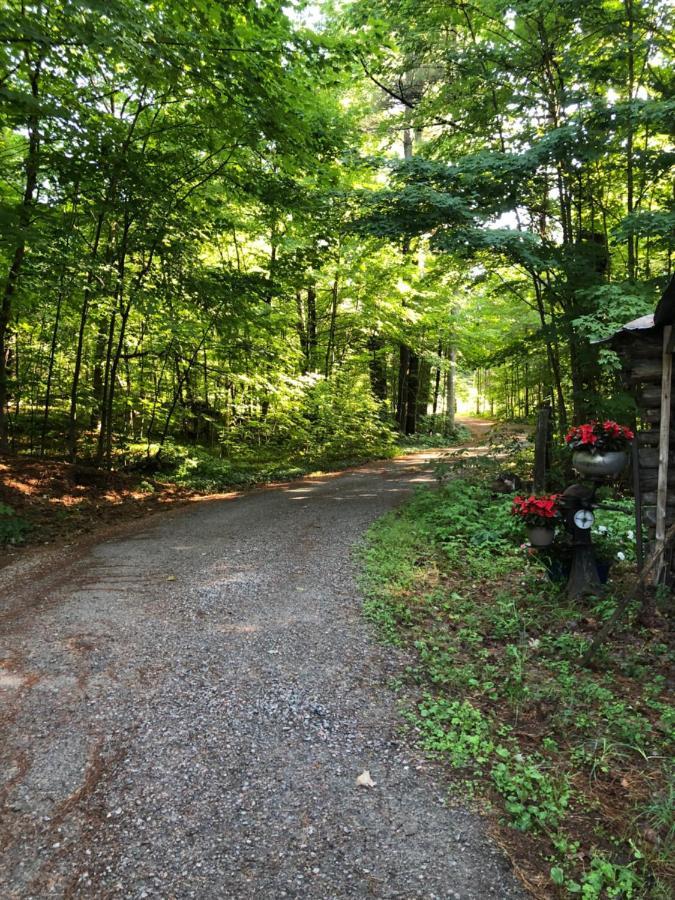 Country Living Bed & Breakfast Gravenhurst Eksteriør bilde